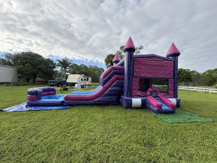 Bounce House W/ Slides